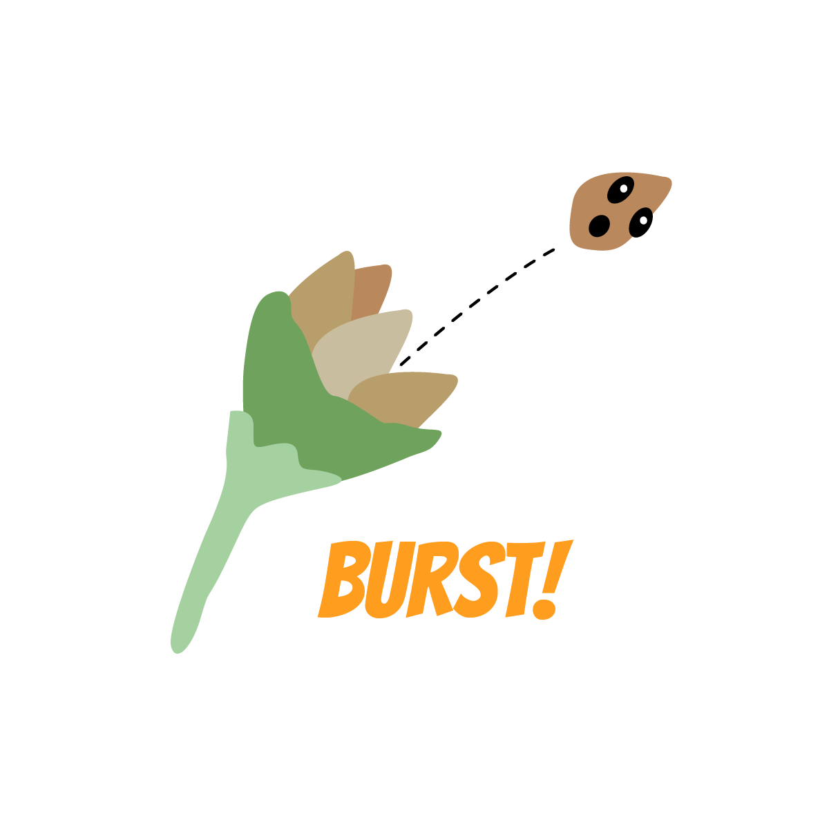 Seed Burst.png