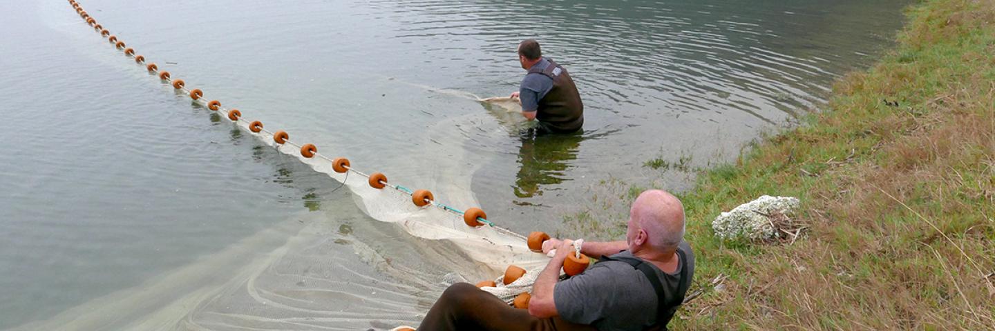 umpqua_bait_employees_craig_hedgepeth_and_derick_hoile_gather_the_sein_net_in_the_west_basin_winchester_bay_douglas_co.jpg