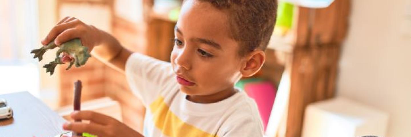 A boy playing with dinosaur toys