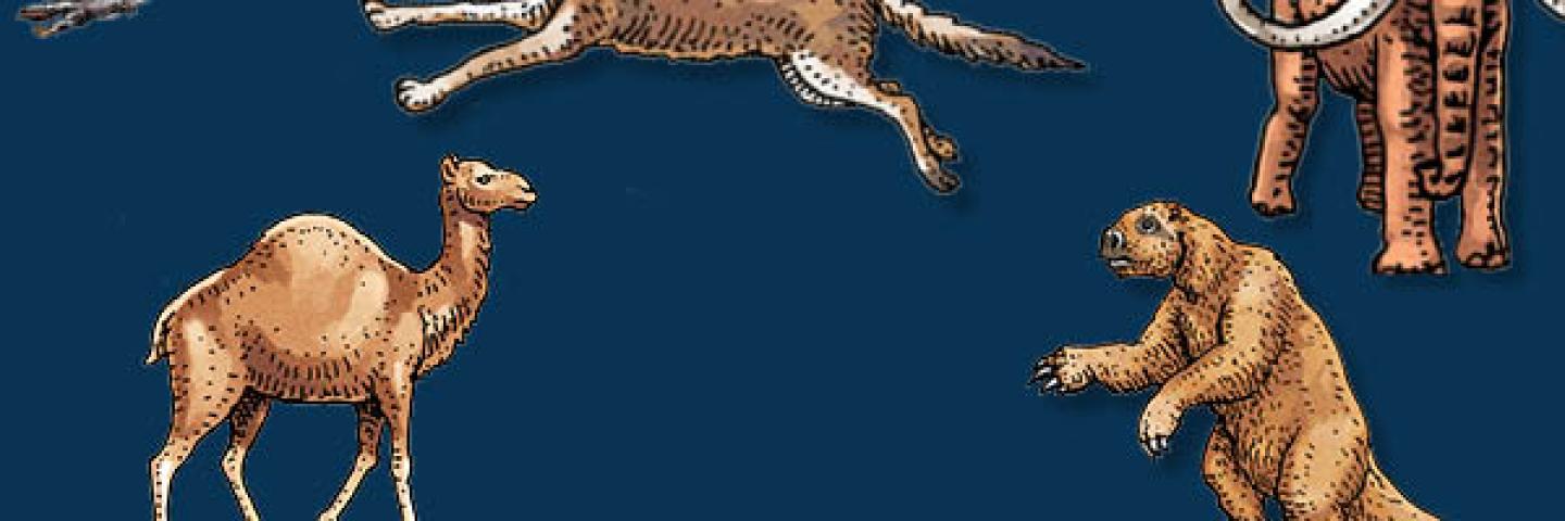 A blue background with illustrations of ice age giant animals