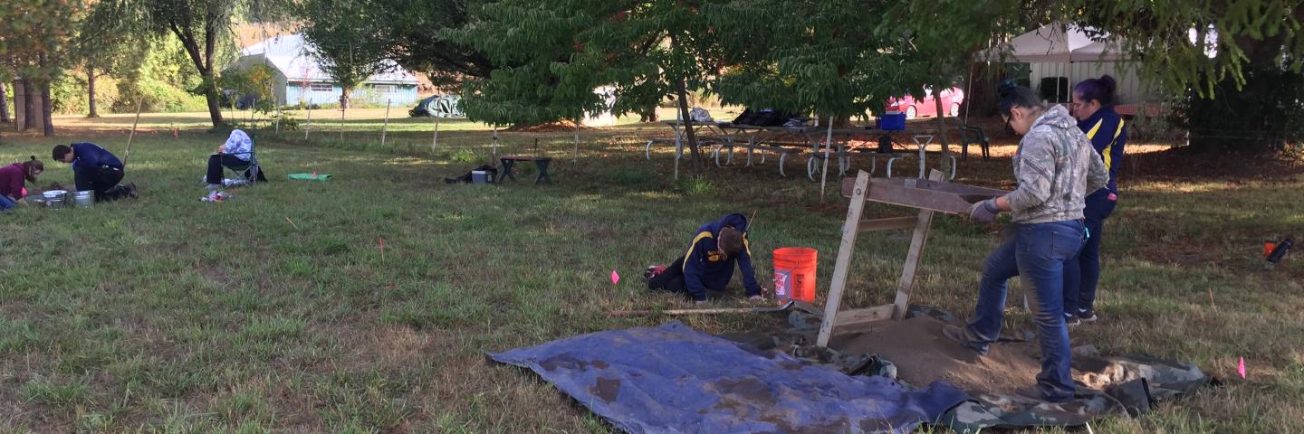 Archaeologists in a grassy field. Some are digging, some are measuring, and some crew shaker screens. 