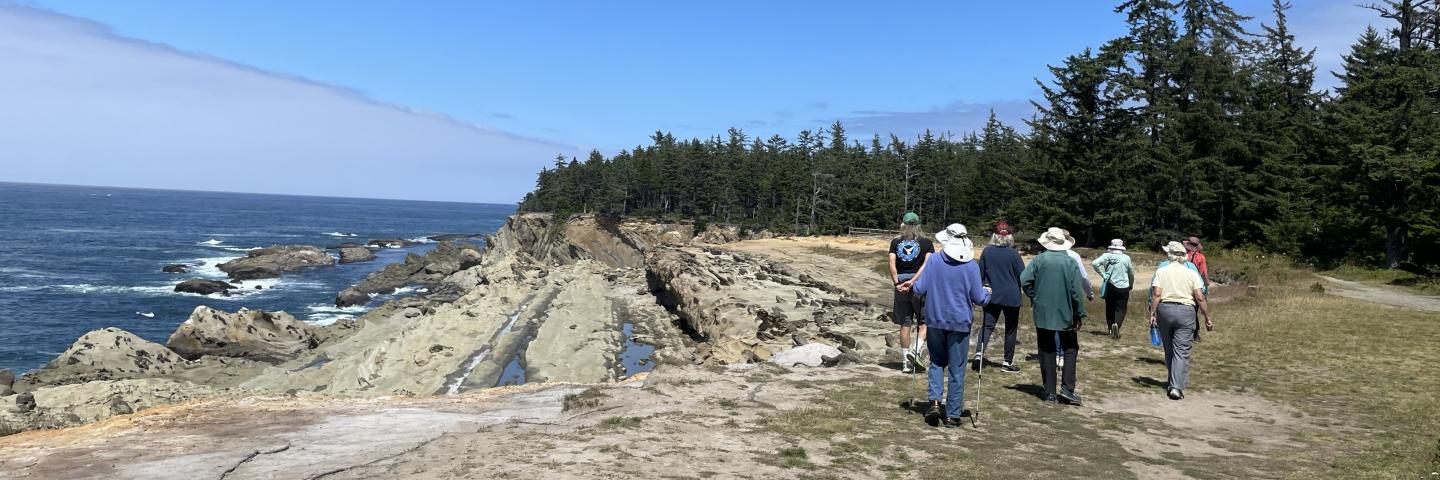 A dramatic coastal landscape with a group of adults walking away from the camera