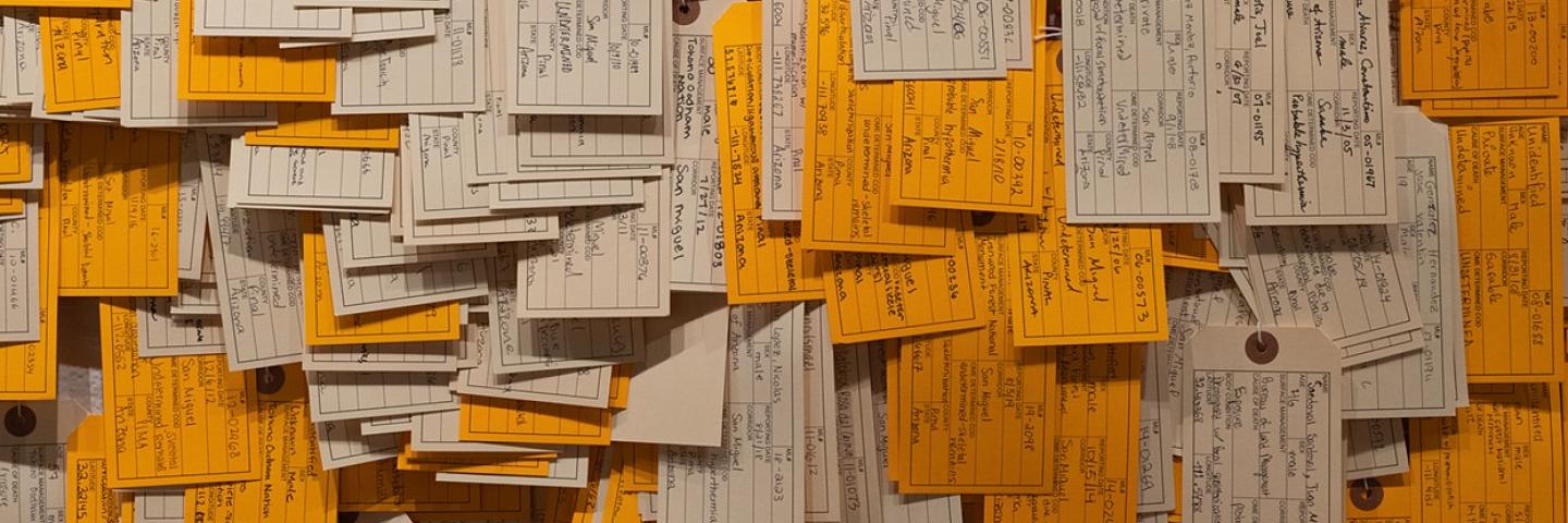 Close up view of overlapping white and orange and beige toe tags 
