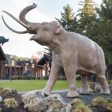 Mama mammoth in the museum courtyard
