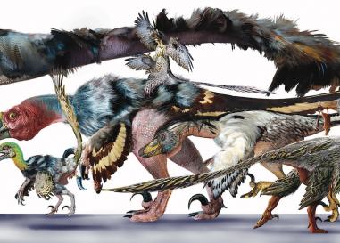 Raptor Family by Luis Rey