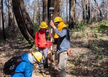 Three people hold an archaeological survey pole in a forest