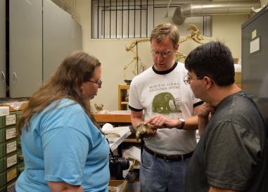 Edward Davis gives tour of fossils