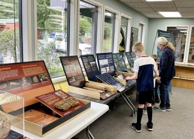 Family using Native Innovation exhibit at a library