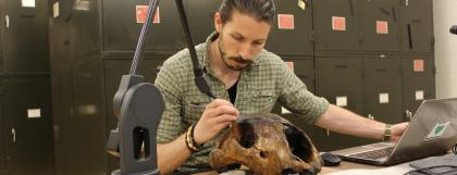 Paleontology student in a lab examining a giant sloth skull