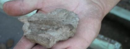 Pumice Grooved Abrader