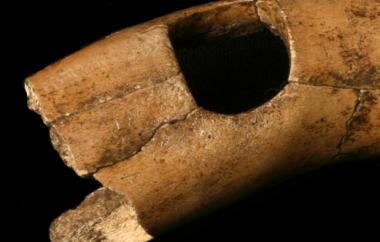 Digging Stick Handle Detail