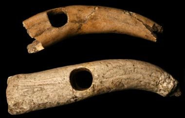 Digging Stick Handles