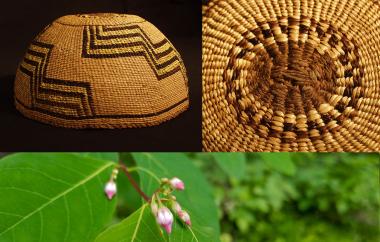 Twined hat and dogbane