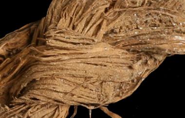 Braided Sagebrush Rope Detail