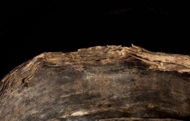 Baleen Vessel Detail