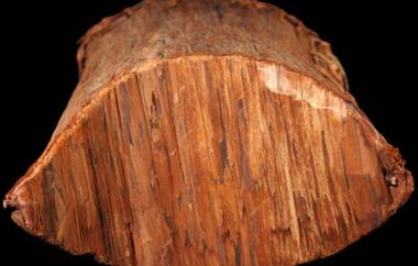 Cedar-bark &quot;bucket&quot; Detail