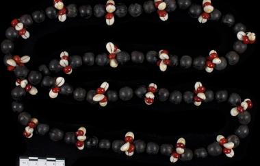 Seed and Shell Necklace