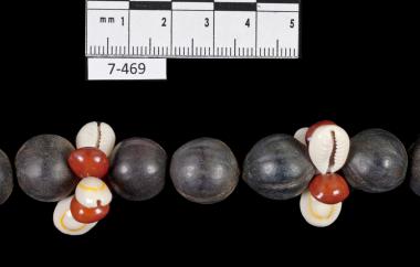 Seed and Shell Necklace, detail