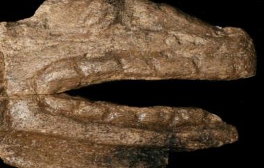 Carved Bone Effigy Detail