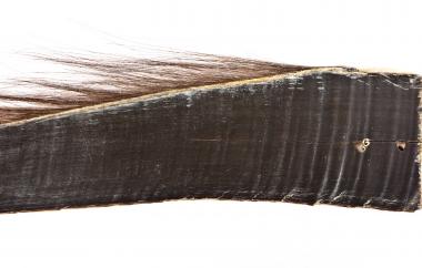 Baleen Plate Detail