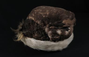 Murre skin hat