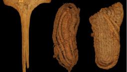 Prehistoric sandals found in Spain