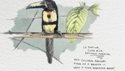 A card with a painting of a bird